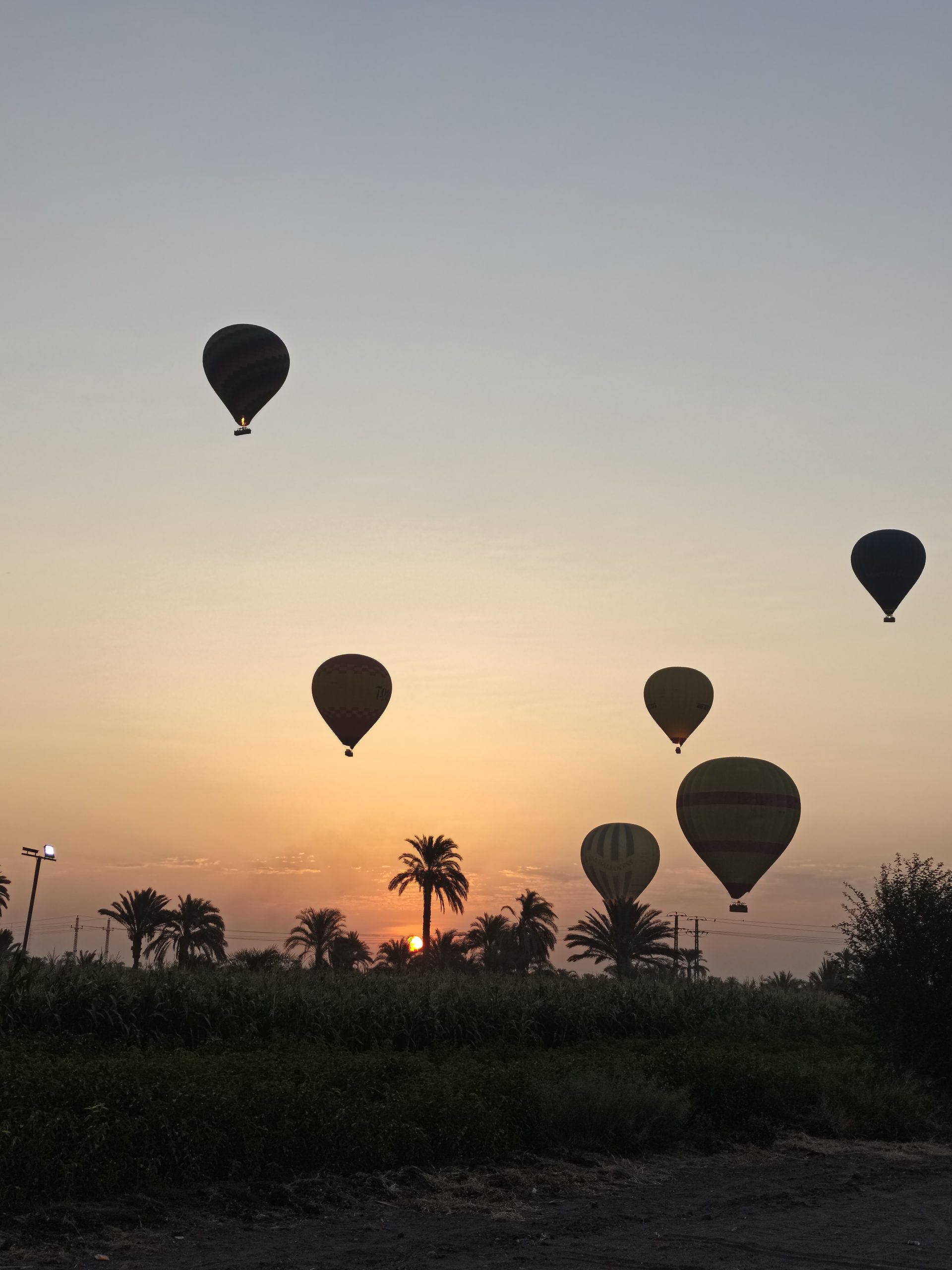 Globos aerostáticos sobre los campos de Luxor al amanecer