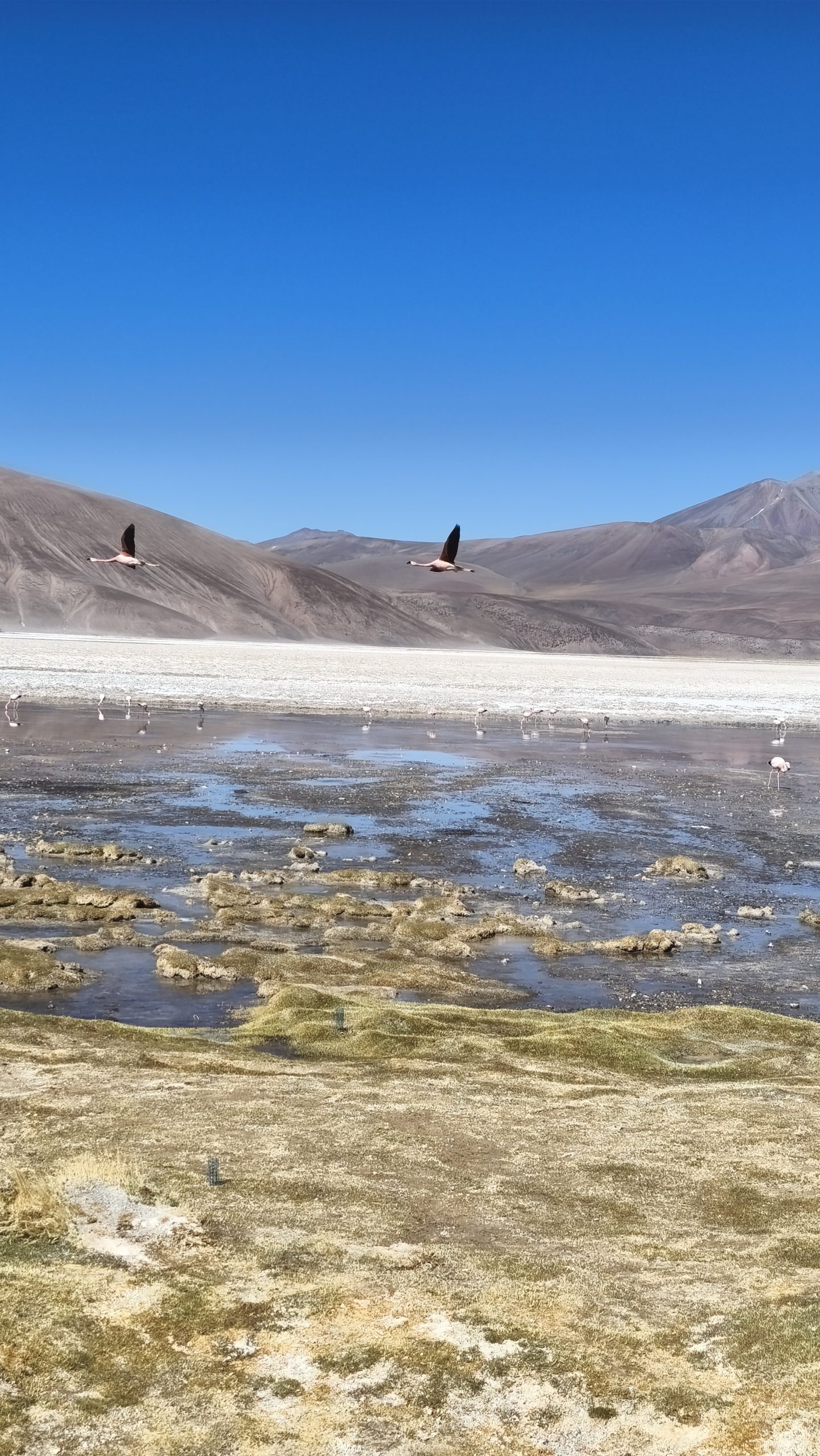 Dunas de Saujil