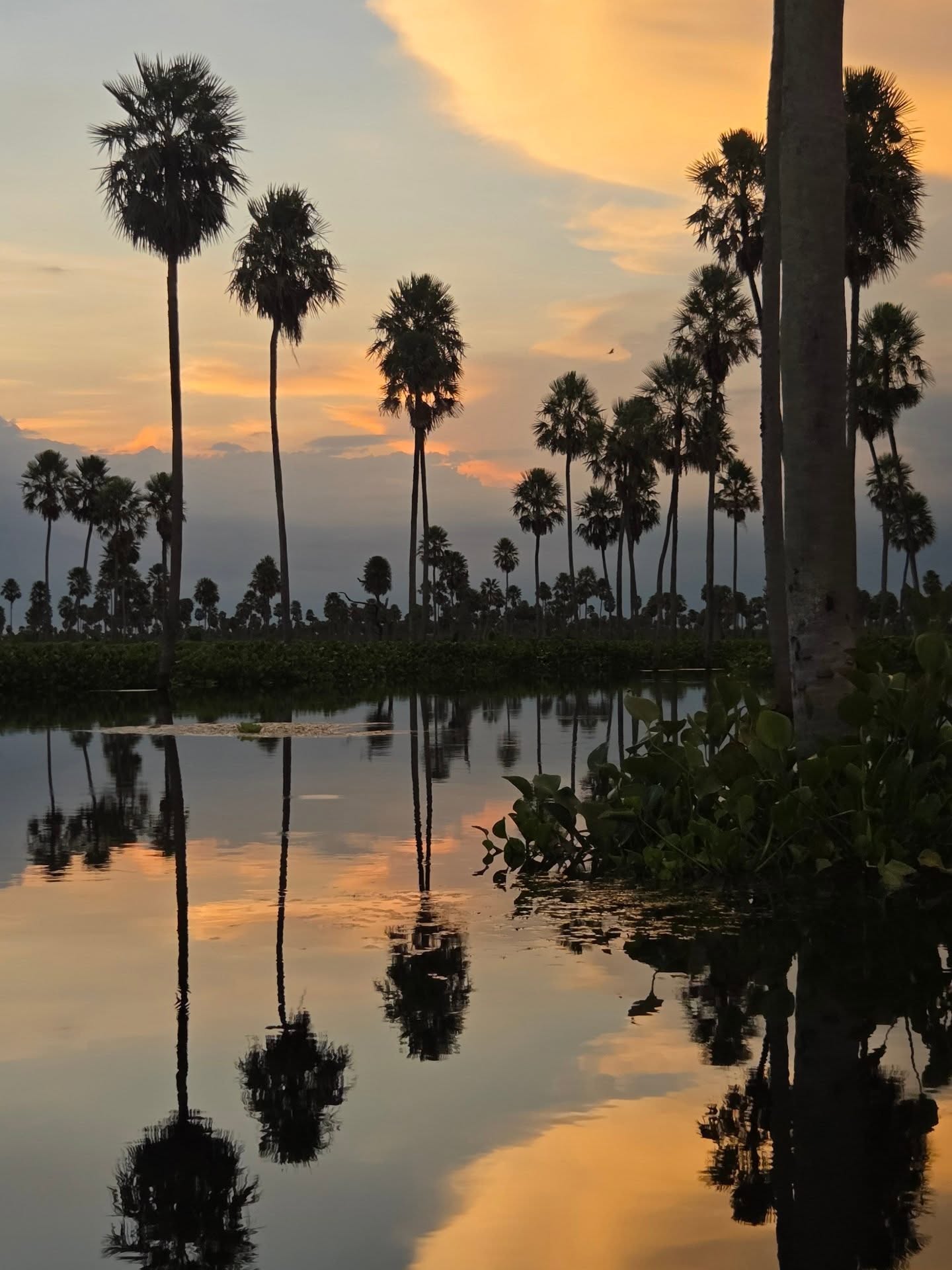 Atardecer sobre el agua