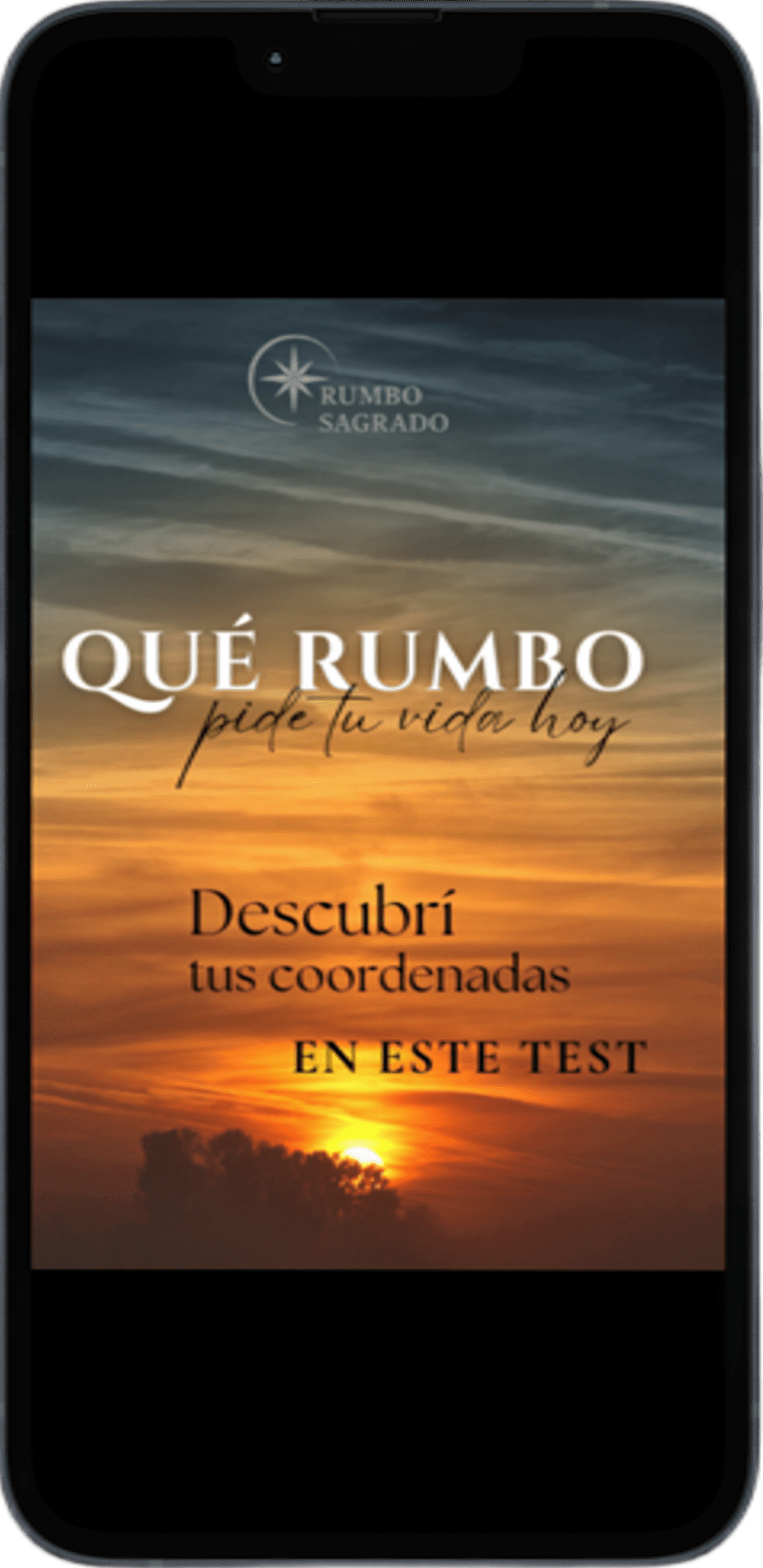 Mockup del test en celular
